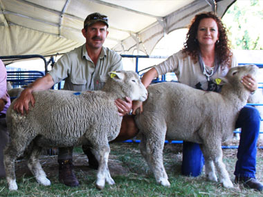 Champion Group of Four Fat Lambs Winners
