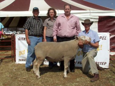Cullinan Auction 2010 - Highest price for a ram on this auction - bought by Flip de Bruyn Klerksdorp - R20 000