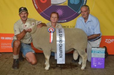 RC15 447 - Grand Champion Royal show as well as Standerton Show 2019